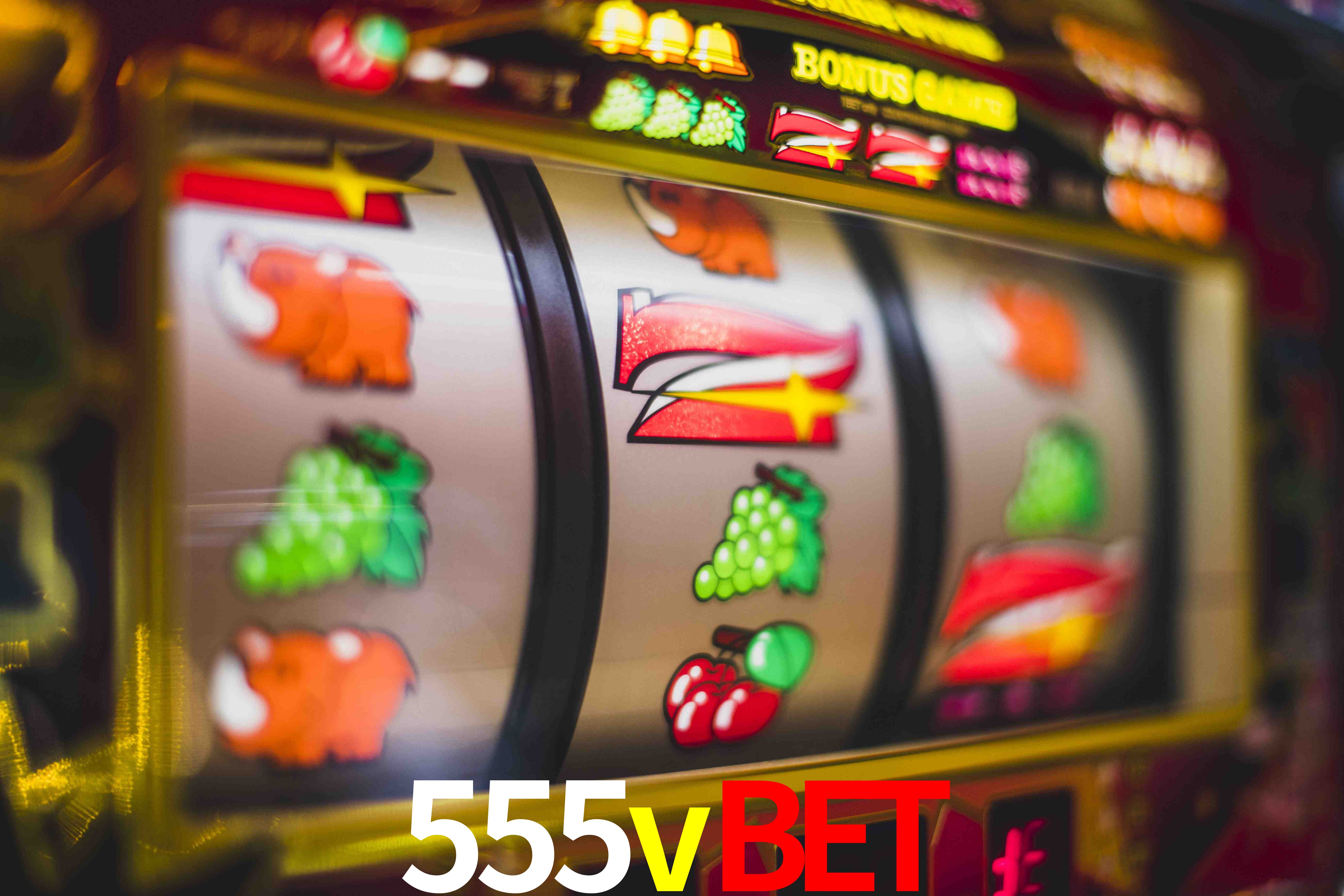 Basketball Betting 555vbet
